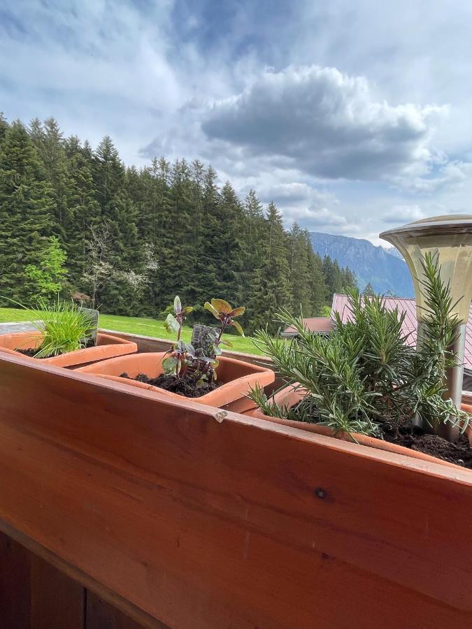 Ferienhaus Praschberg Niederndorferberg Extérieur photo